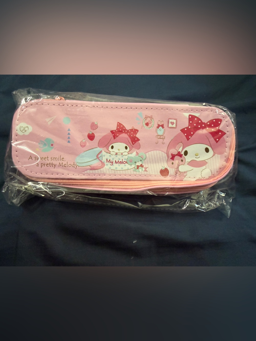 Sanrio My Melody Pink Pencil Case